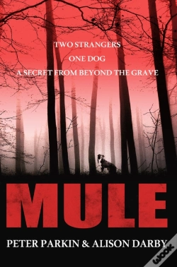 Capa do artigo Mule
