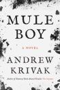 Mule Boy - Preview
