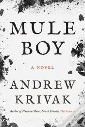 Capa do artigo Mule Boy