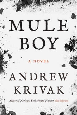 Capa do artigo Mule Boy