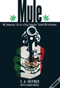 Capa do artigo Mule