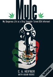 Capa do artigo Mule