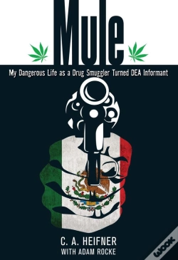 Capa do artigo Mule