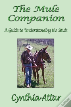 Capa do artigo Mule Companion: A Guide To Understanding The Mule