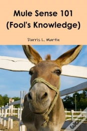 Capa do artigo Mule Sense 101 (Fool