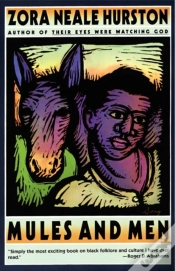 Capa do artigo Mules And Men