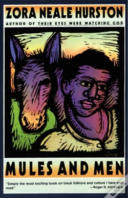 Capa do artigo Mules And Men