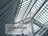 Mulhouse Tresors D Usines