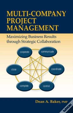 Capa do artigo Multi-Company Project Management