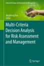 Multi-Criteria Decision Analysis For Risk Assessment And Management - Preview