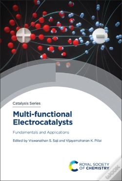Capa do artigo Multi-Functional Electrocatalysts