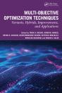 Multi-Objective Optimization Techniques - Preview