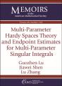 Multi-Parameter Hardy Spaces Theory And Endpoint Estimates For Multi-Parameter Singular Integrals - Preview