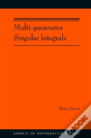 Multi-Parameter Singular Integrals, Volume I