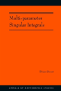 Multi-Parameter Singular Integrals, Volume I - Preview