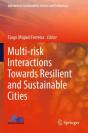 Multi-Risk Interactions Towards Resilient And Sustainable Cities - Preview