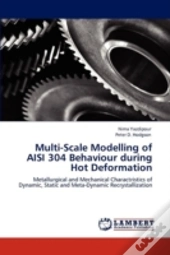 Multi-Scale Modelling Of Aisi 304 Behaviour During Hot Deformation