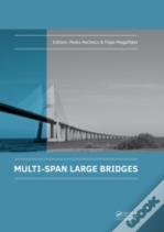 Multi-Span Large Bridges