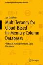 Multi Tenancy For Cloud-Based In-Memory Column Databases - Preview