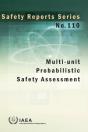 Multi-Unit Probabilistic Safety Assessment - Preview