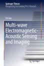 Multi-Wave Electromagnetic-Acoustic Sensing And Imaging - Preview