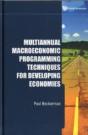 Multiannual Macroeconomic Programming Techniques For Developing Economies - Preview