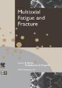 Multiaxial Fatigue And Fracture - Preview