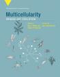 Multicellularity - Preview