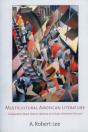 Multicultural American Literature - Preview