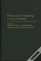 Multicultural Teaching In The University