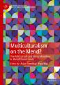 Multiculturalism On The Mend? - Preview