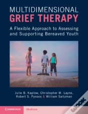 Capa do artigo Multidimensional Grief Therapy