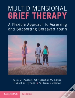 Capa do artigo Multidimensional Grief Therapy