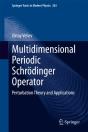 Multidimensional Periodic Schrodinger Operator - Preview