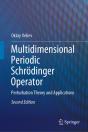 Multidimensional Periodic Schrodinger Operator - Preview