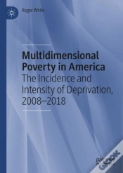 Capa do artigo Multidimensional Poverty In America
