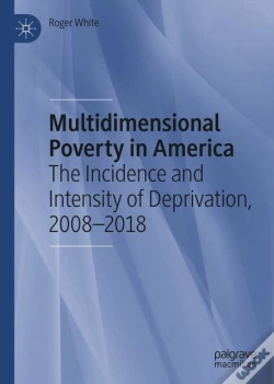 Capa do artigo Multidimensional Poverty In America