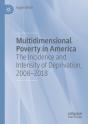 Multidimensional Poverty In America - Preview