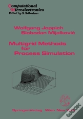 Multigrid Methods For Process Simulation
