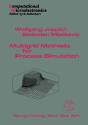 Multigrid Methods For Process Simulation - Preview