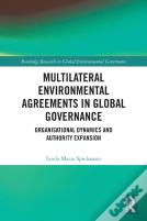 Multilateral Environmental Agreements In Global Governance