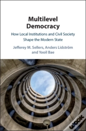 Capa do artigo Multilevel Democracy
