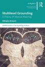 Multilevel Grounding - Preview
