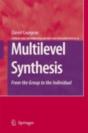 Multilevel Synthesis - Preview