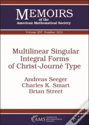 Capa do artigo Multilinear Singular Integral Forms Of Christ-Journe Type