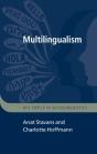 Multilingualism - Preview