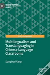Capa do artigo Multilingualism And Translanguaging In Chinese Language Classrooms
