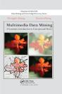 Multimedia Data Mining - Preview