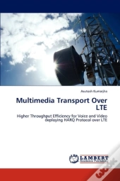 Multimedia Transport Over Lte