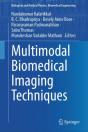 Multimodal Biomedical Imaging Techniques - Preview